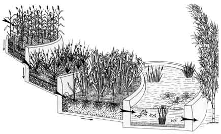 Filtration des eaux grises par épuration biologique